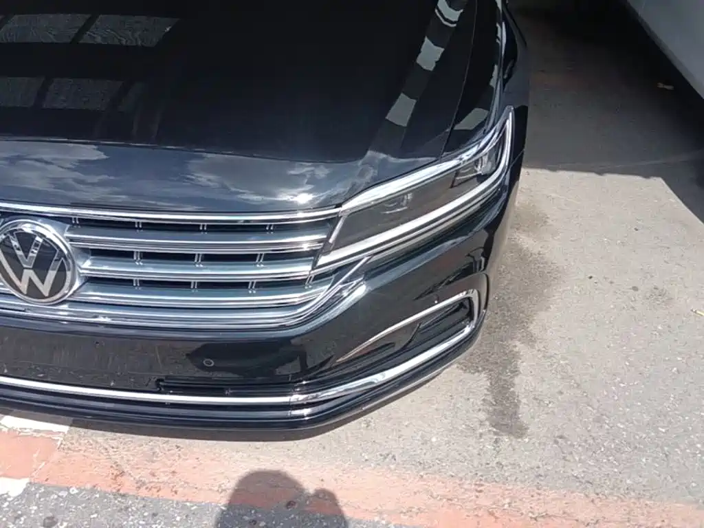 Volkswagen Phideon — фото 19