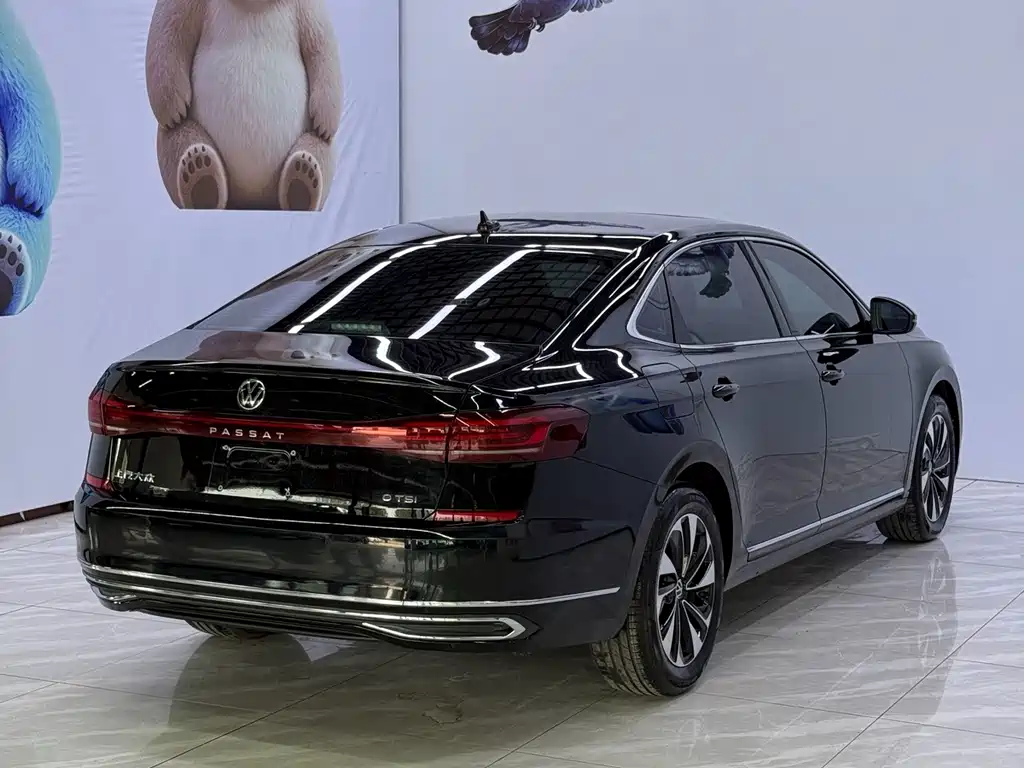 Volkswagen Passat — фото 4