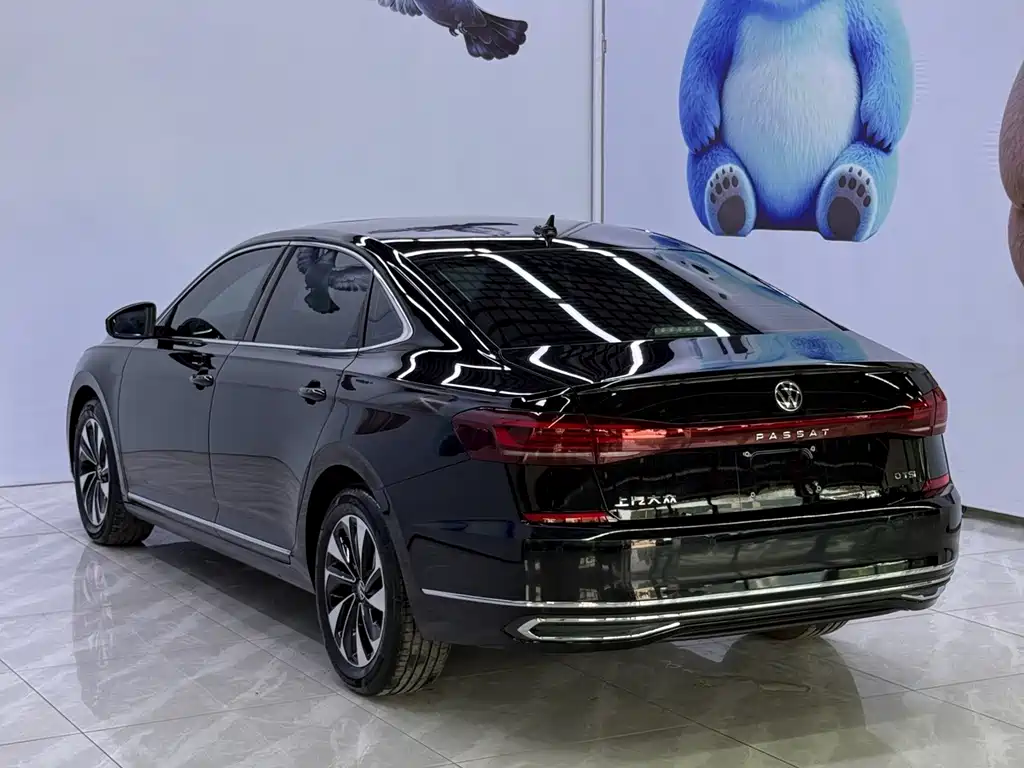 Volkswagen Passat — фото 6