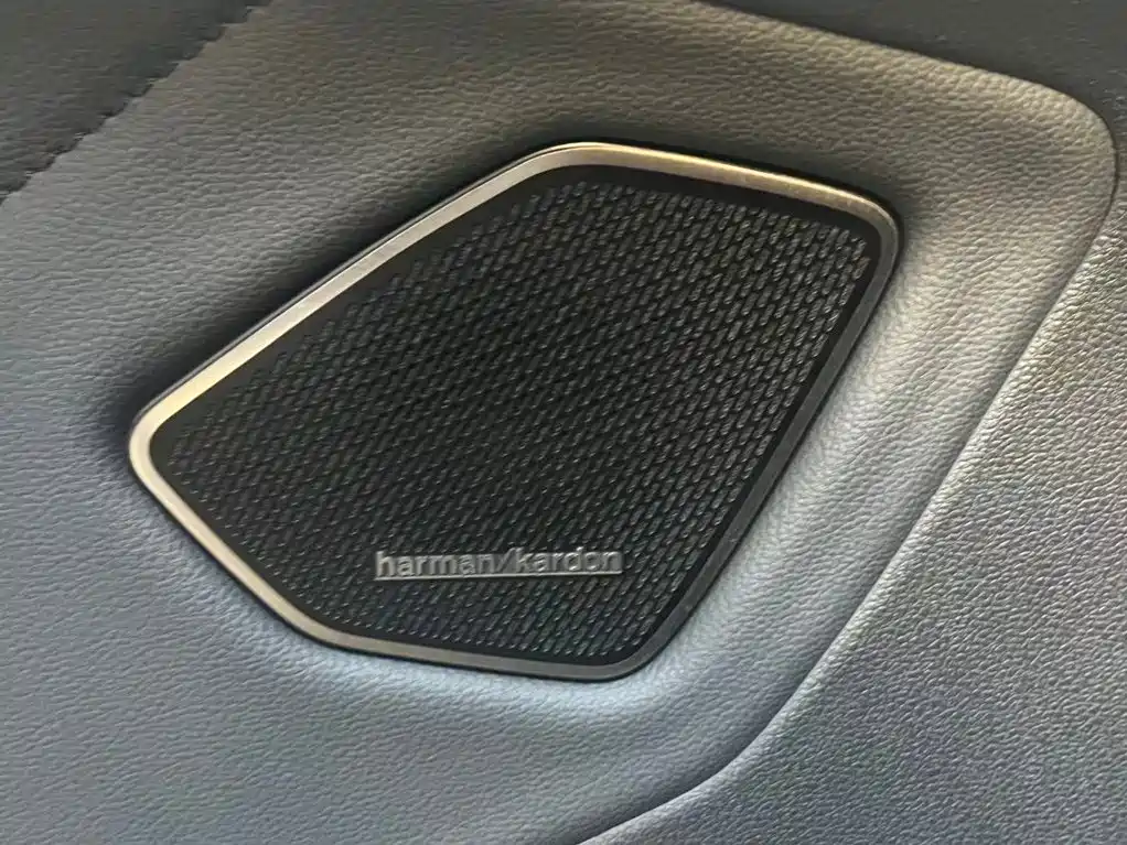 Volkswagen Talagon — фото 15