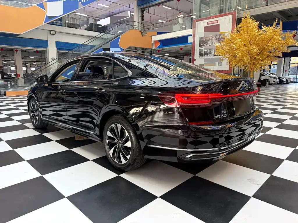 Volkswagen Passat — фото 18