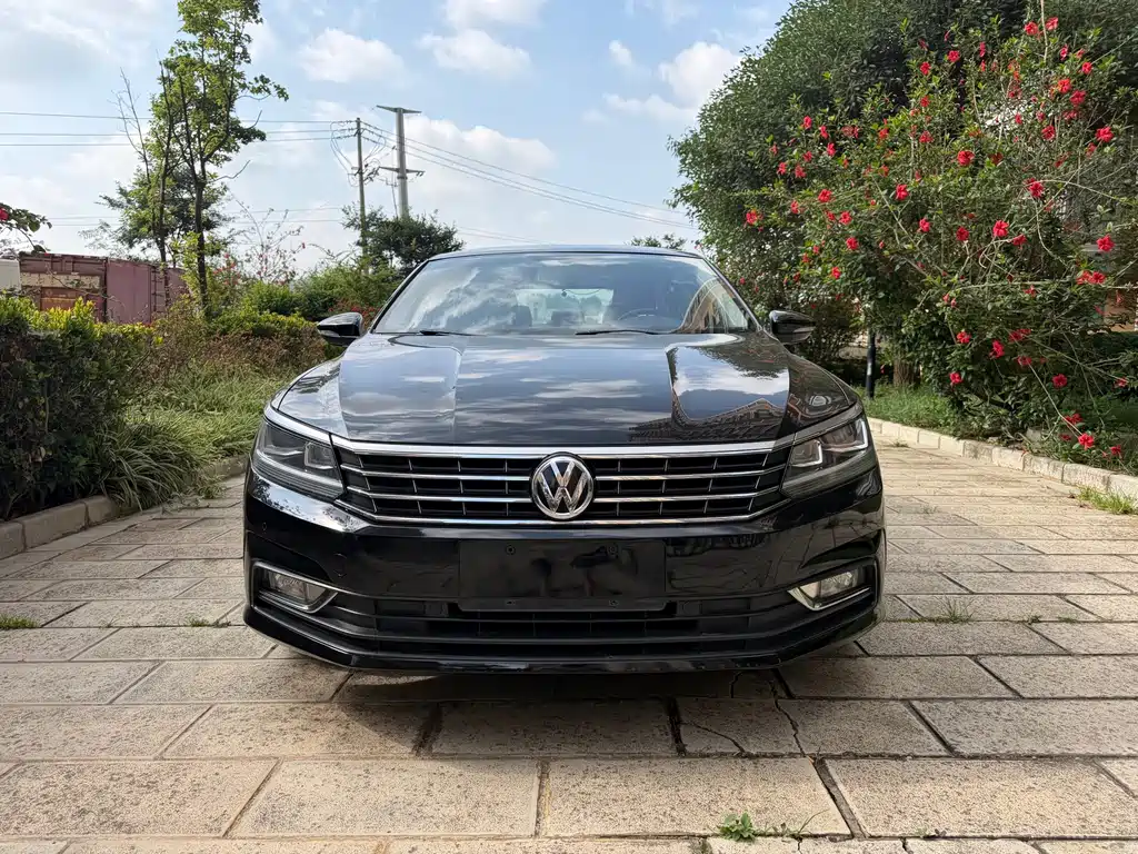 Volkswagen Passat — фото 2