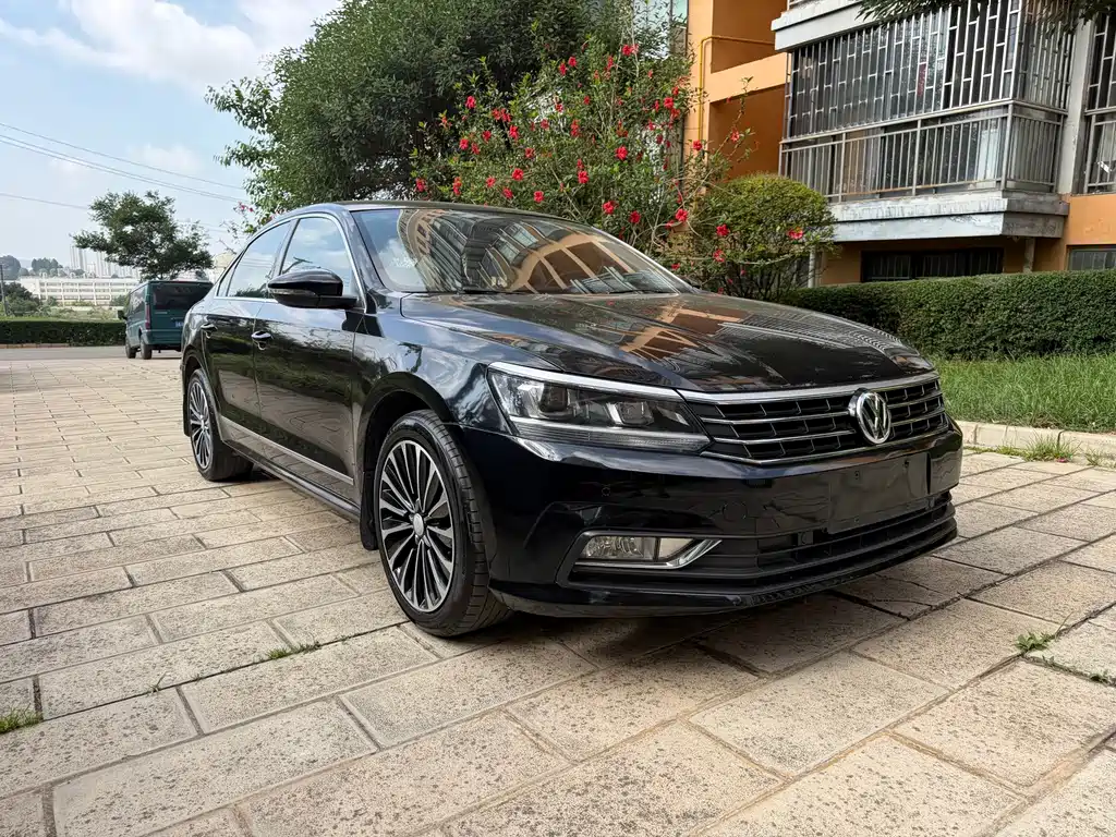 Volkswagen Passat — фото 3