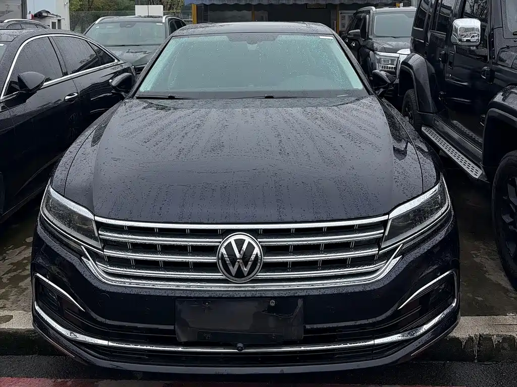 Volkswagen Phideon — фото 2
