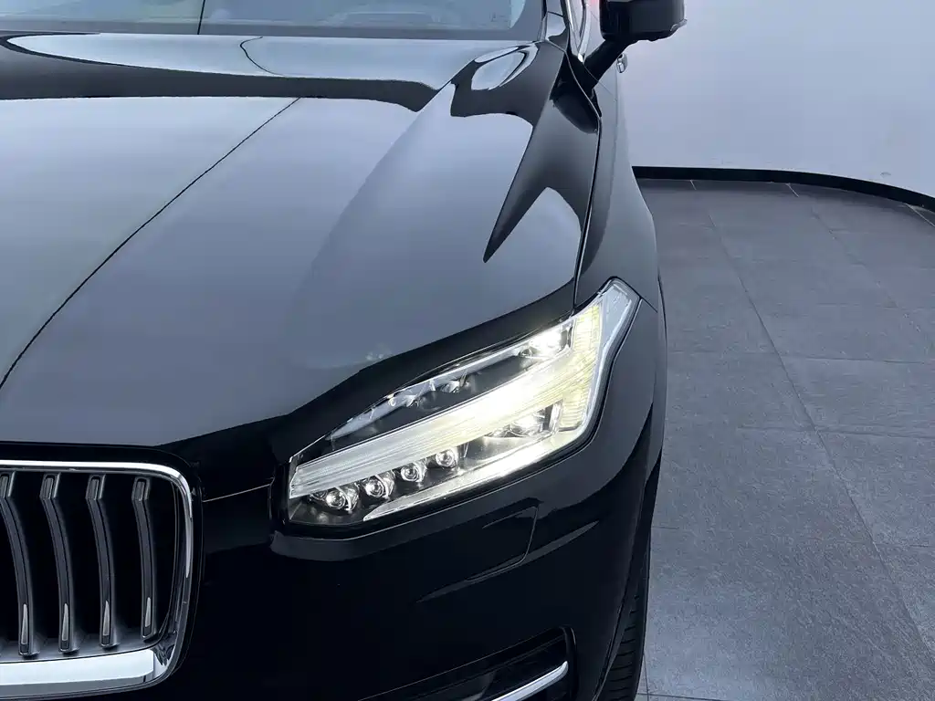 Volvo XC90 — фото 9