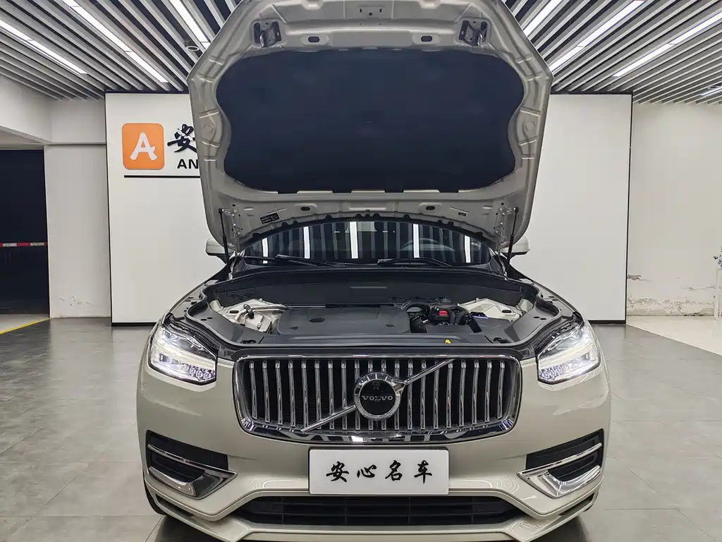 Volvo XC90 — фото 11
