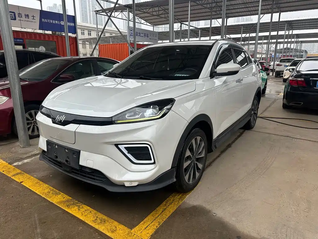 WM Motor EX5