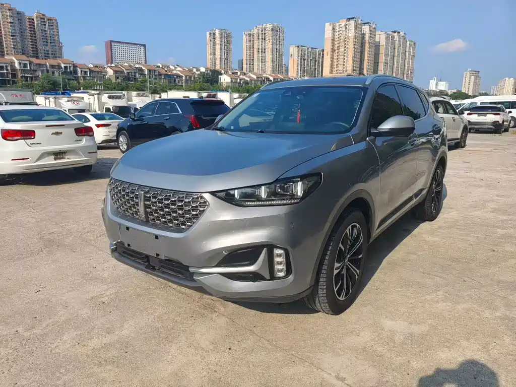 Wey Wey VV6