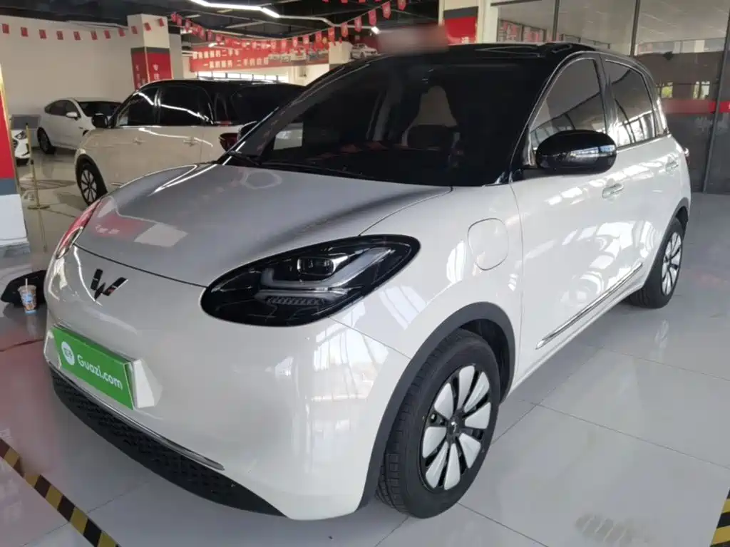 Wuling Bingo
