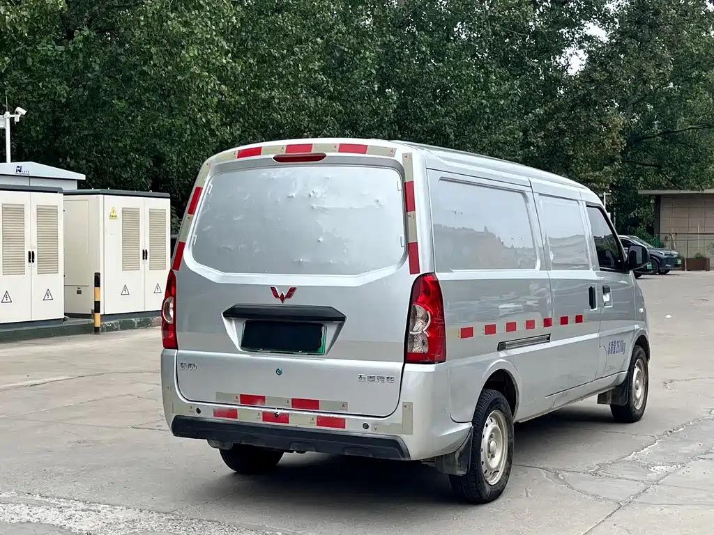 Wuling Wuling EV50 — фото 5