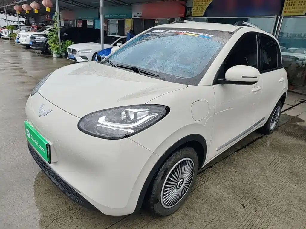 Wuling Bingo