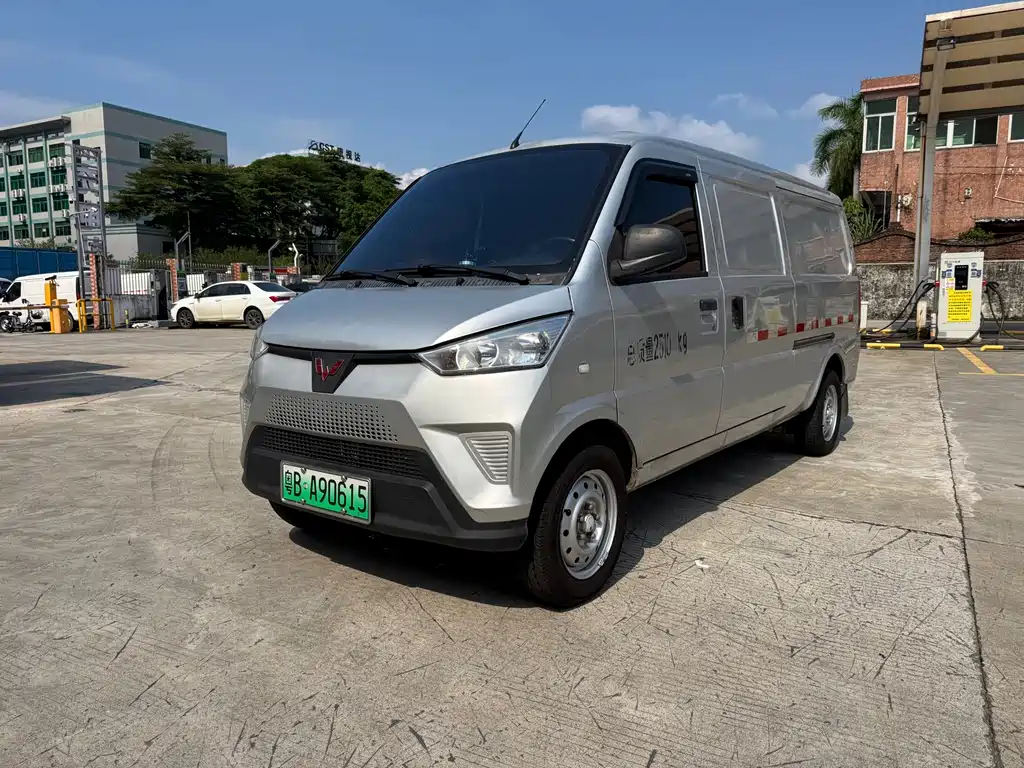 Wuling Wuling EV50