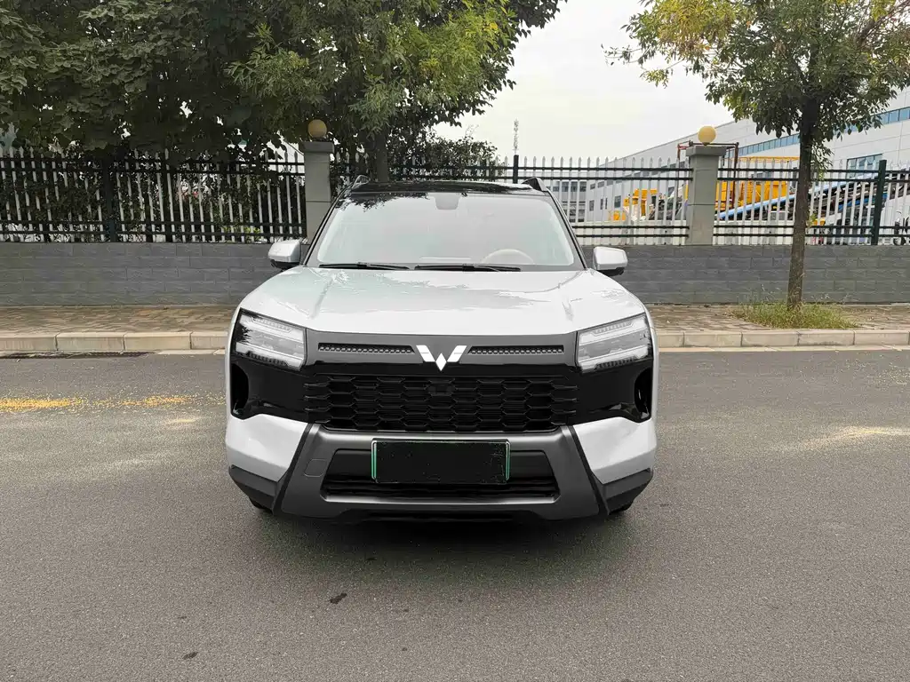 Wuling Xingguang 560 New Energy — фото 2