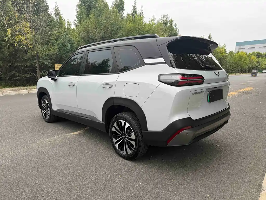 Wuling Xingguang 560 New Energy — фото 8