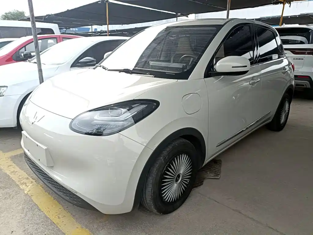 Wuling Bingo