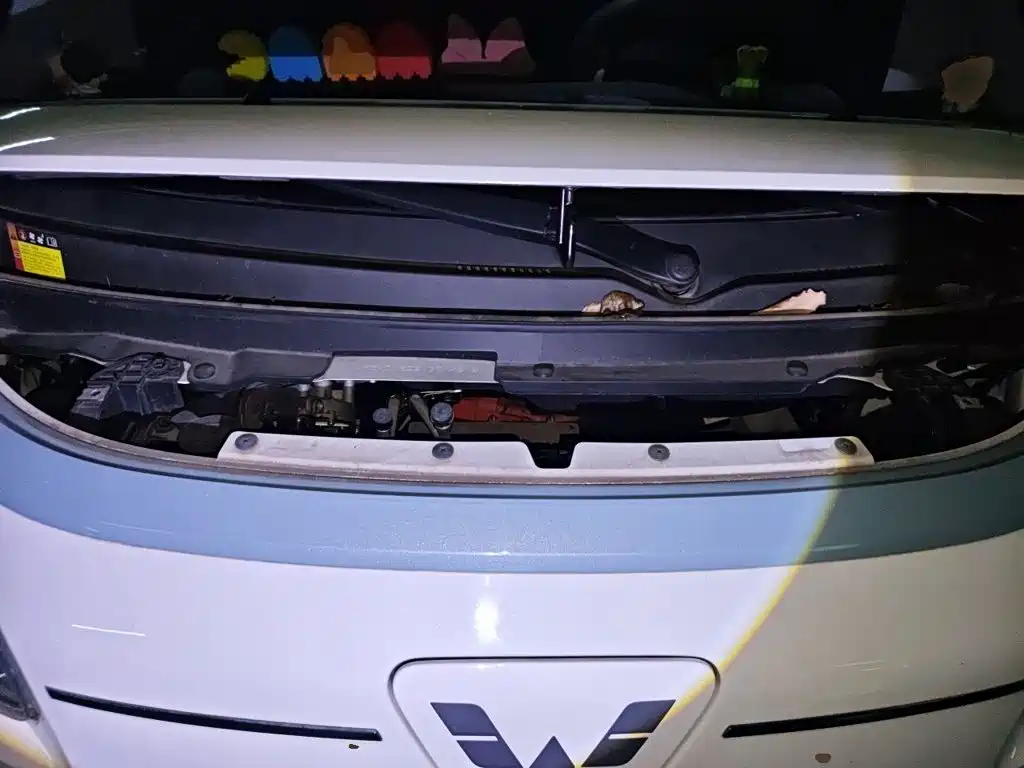 Wuling Nano EV — фото 16