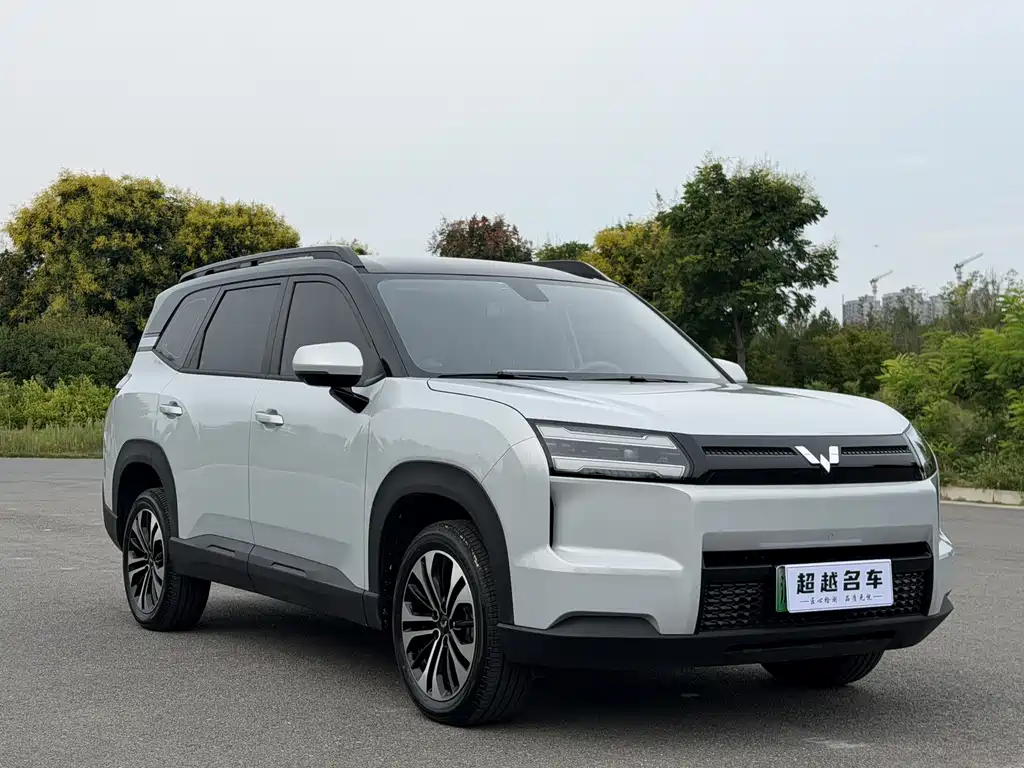 Wuling Xingguang 560 New Energy — фото 3