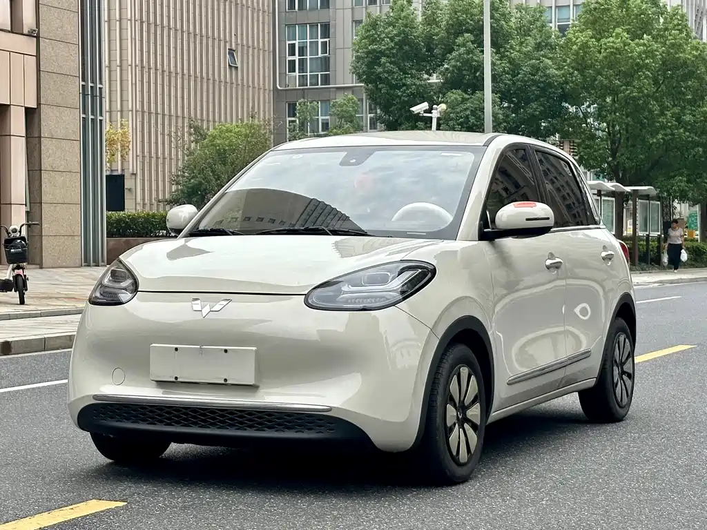 Wuling Bingo