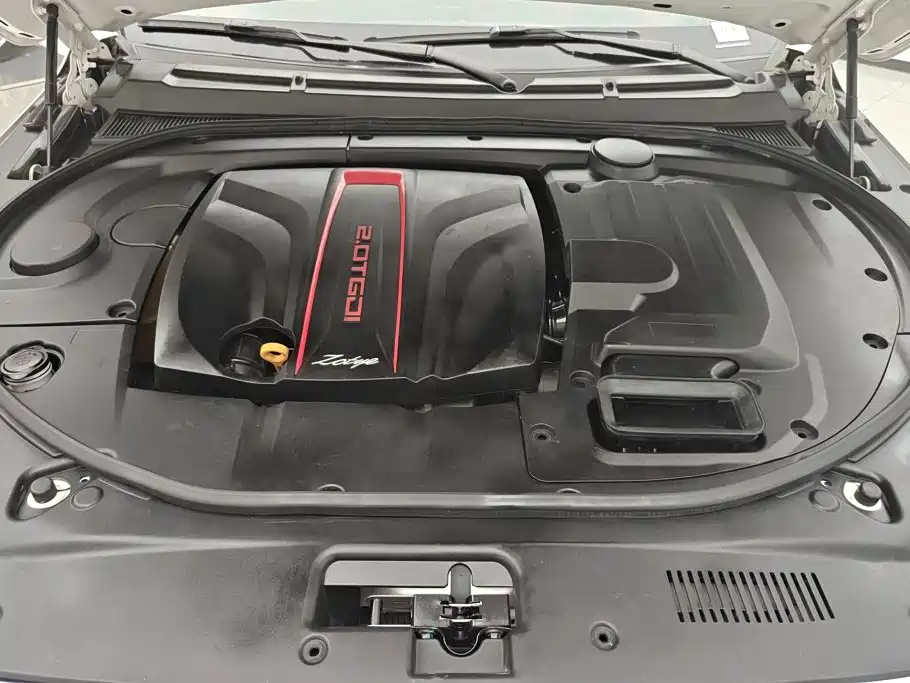 Zotye Zotye T800 — фото 10
