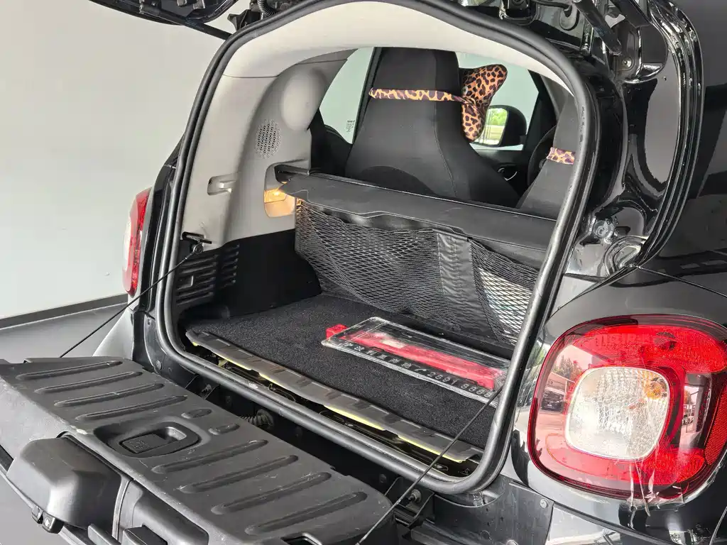 smart Smart Fortwo — фото 8