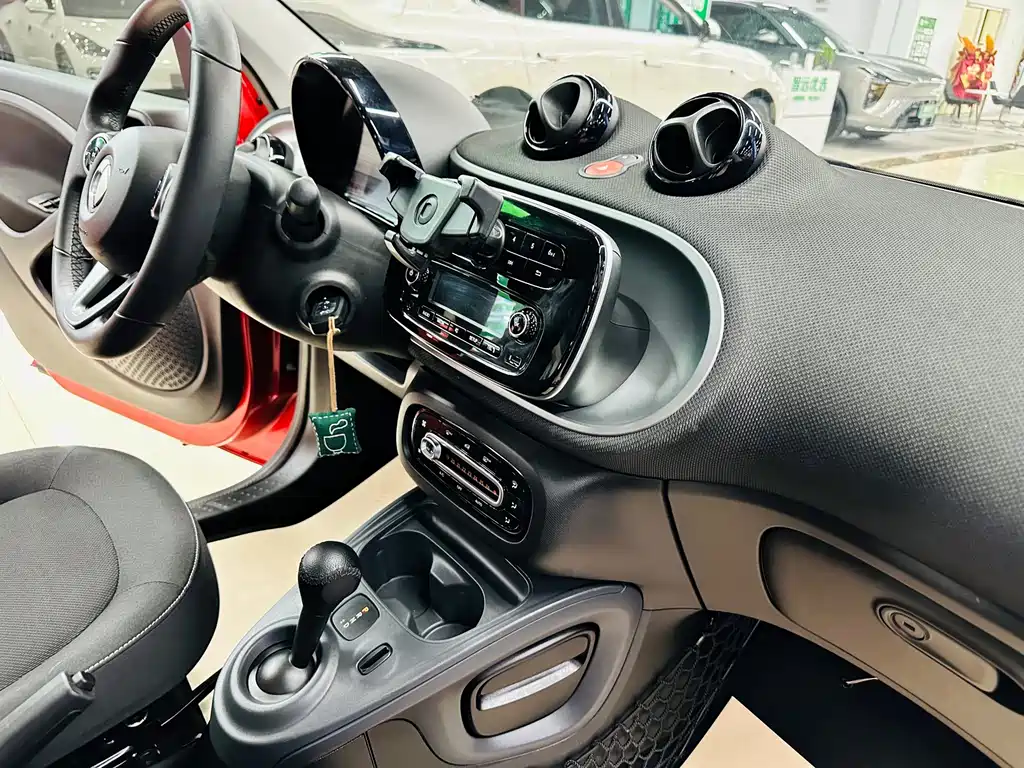 smart Smart Forfour — фото 29