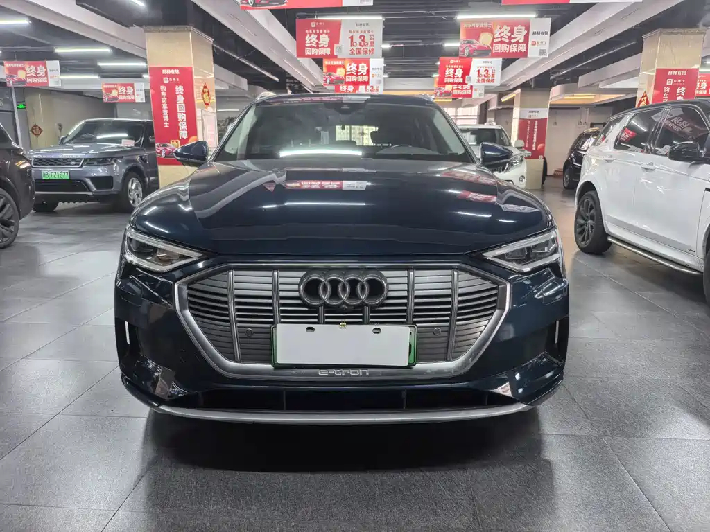 Audi e-tron (Import) — фото 2