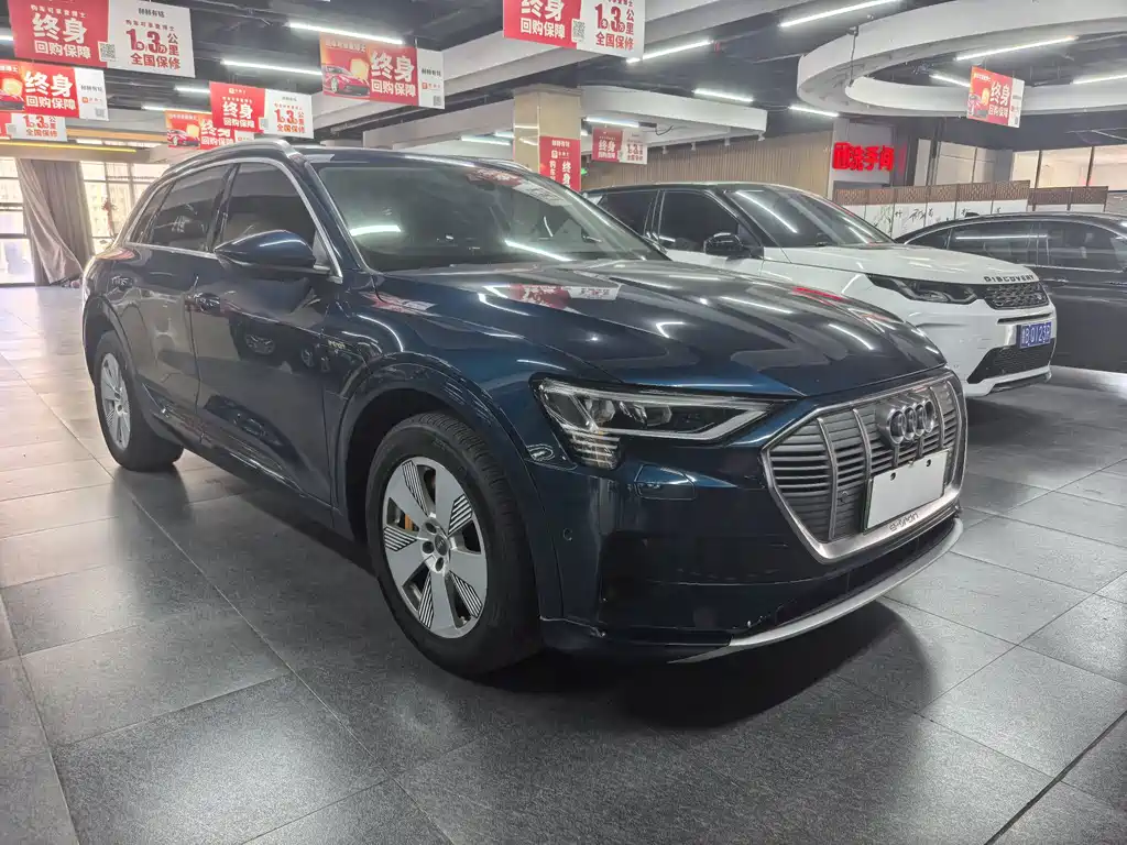 Audi e-tron (Import) — фото 3