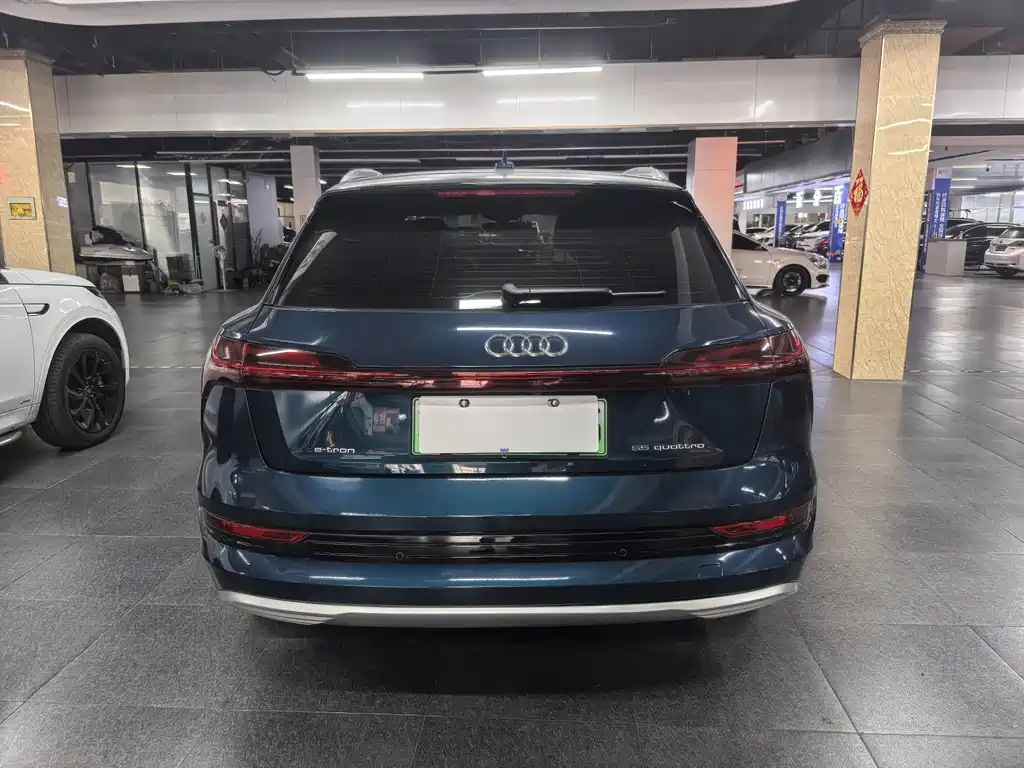 Audi e-tron (Import) — фото 5