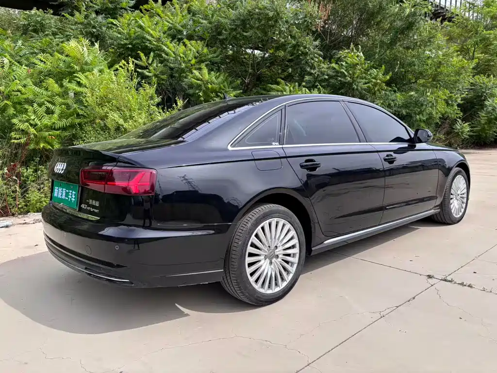 Audi A6L New Energy — фото 7