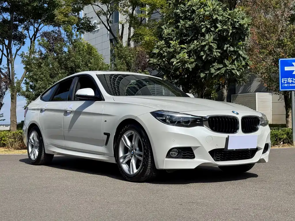 BMW 3 Series GT — фото 3