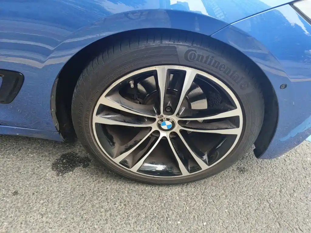 BMW 3 Series GT — фото 24