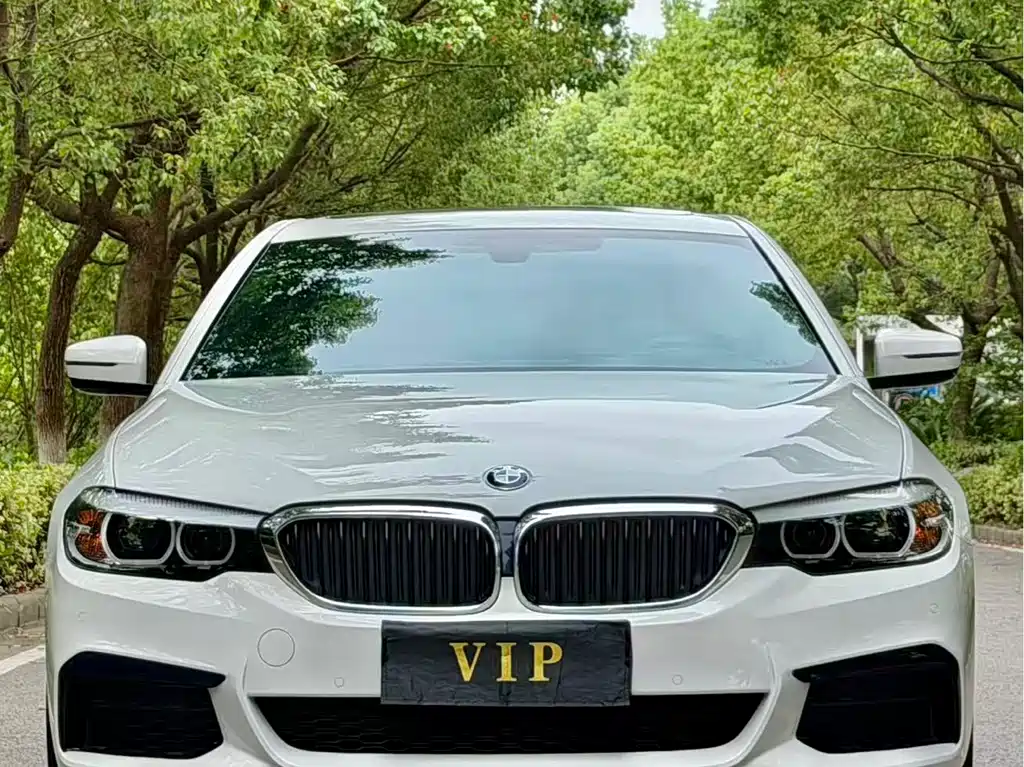 BMW 5 Series (Import) — фото 2