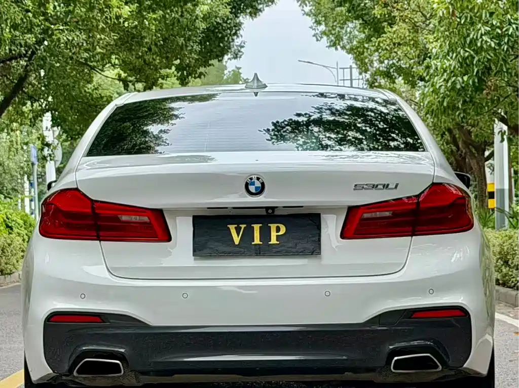 BMW 5 Series (Import) — фото 10
