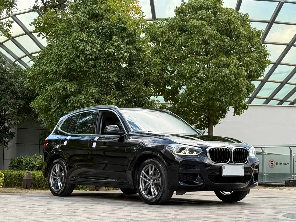 BMW X3 — фото 3