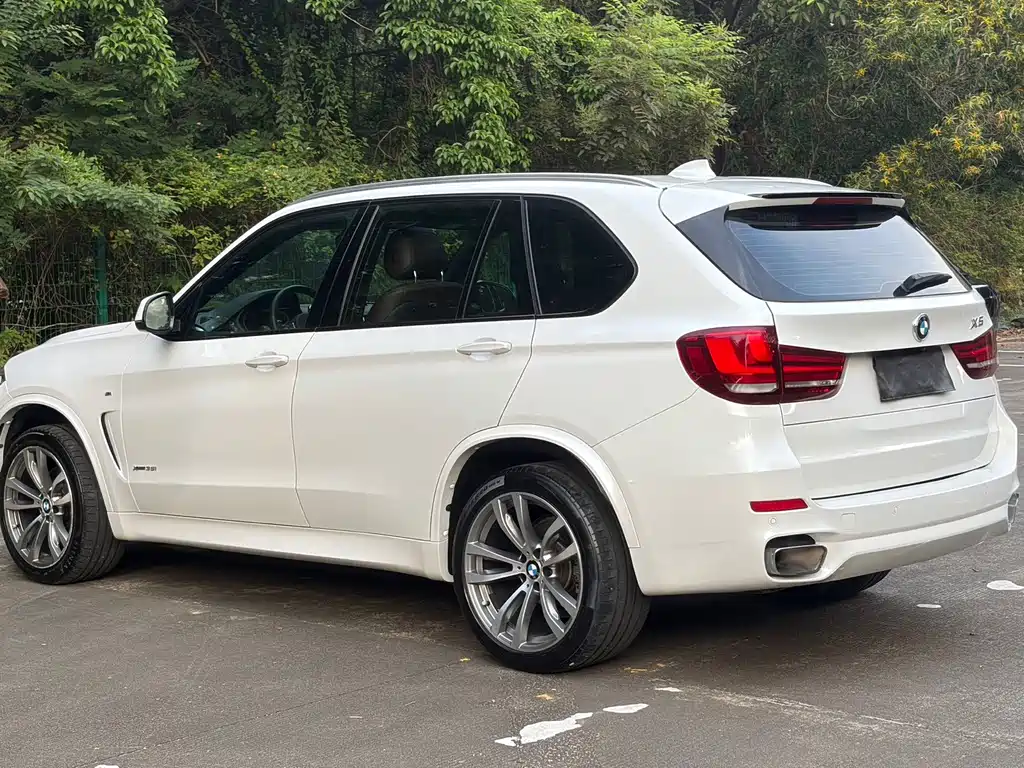 BMW X5 (Import) — фото 3