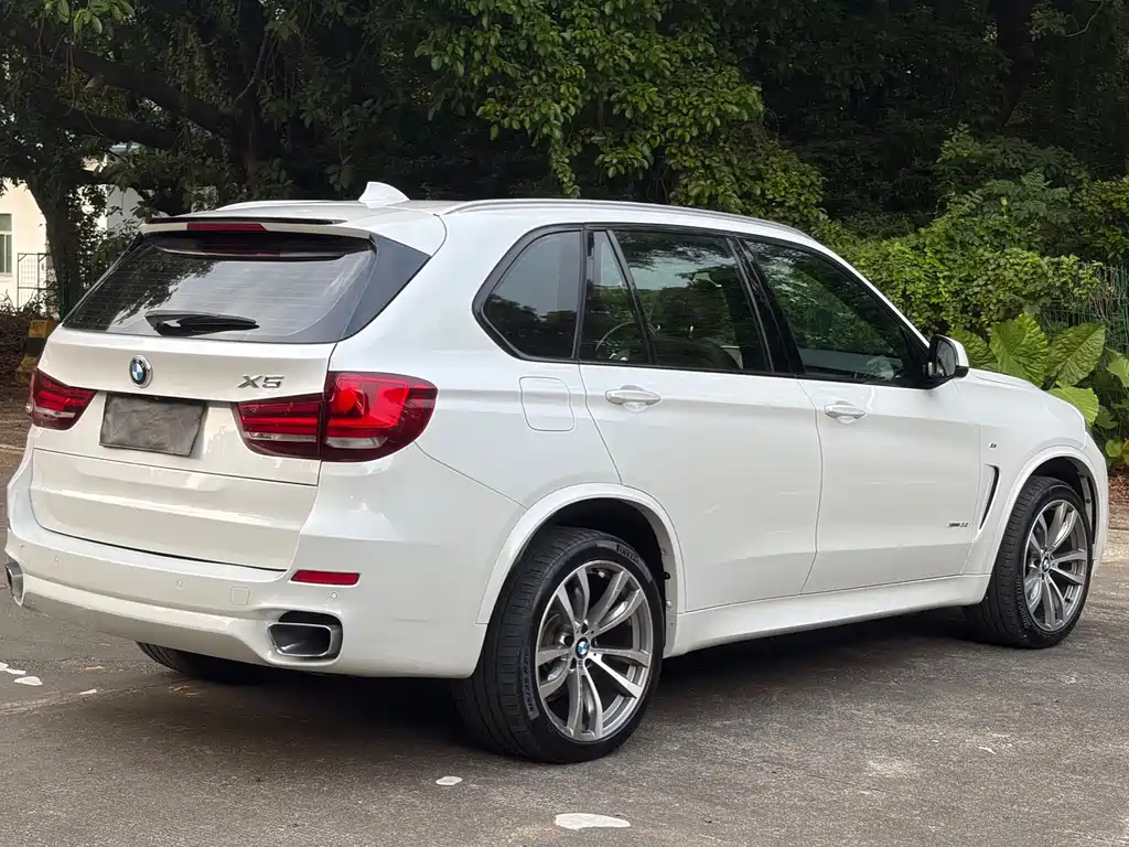 BMW X5 (Import) — фото 4
