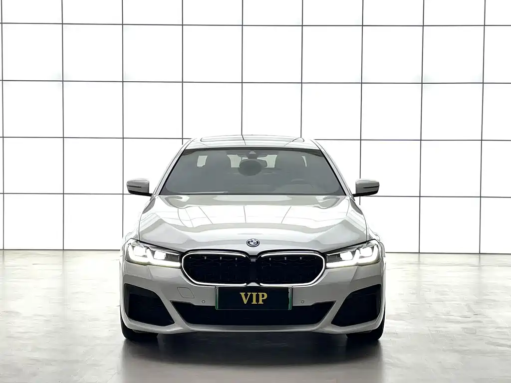 BMW 5 Series New Energy — фото 3