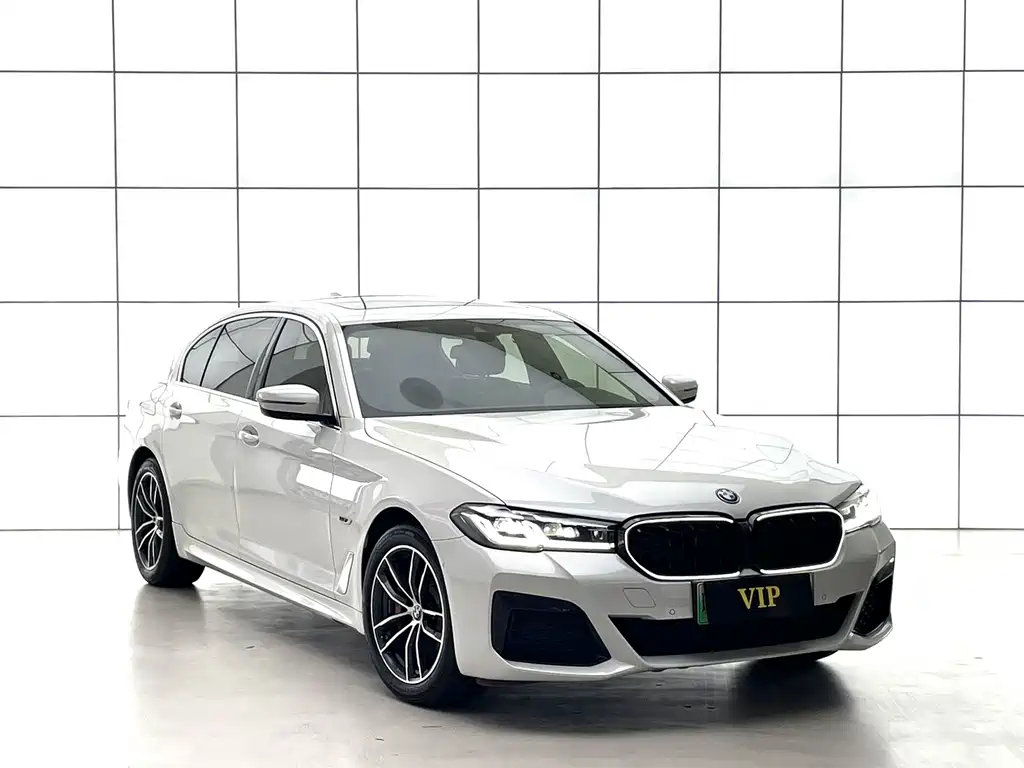 BMW 5 Series New Energy — фото 9
