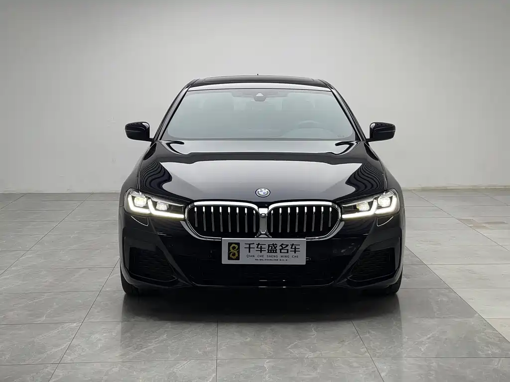 BMW 5 Series New Energy — фото 2