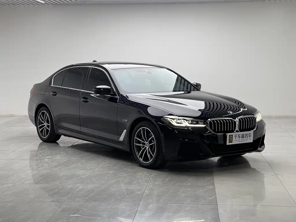 BMW 5 Series New Energy — фото 3