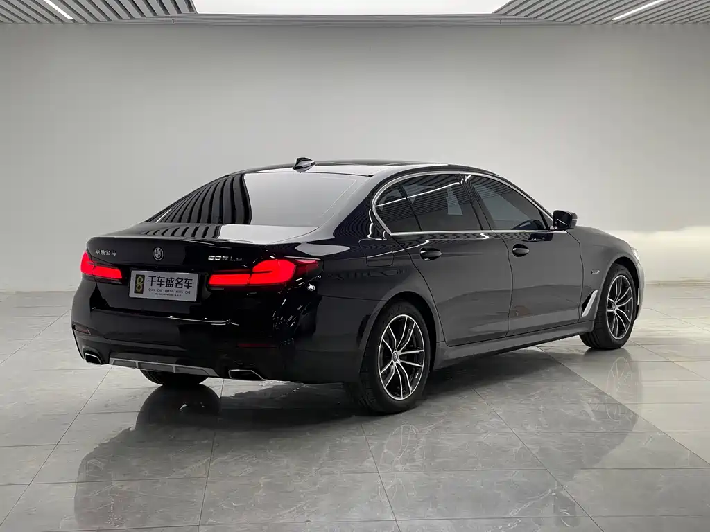BMW 5 Series New Energy — фото 6