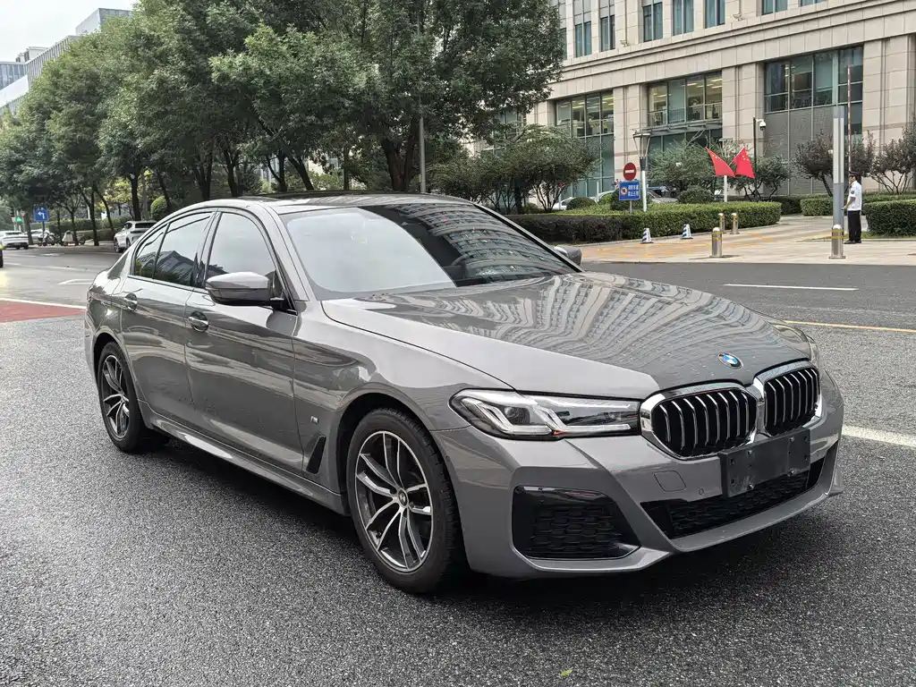 BMW 5 Series (Import) — фото 6