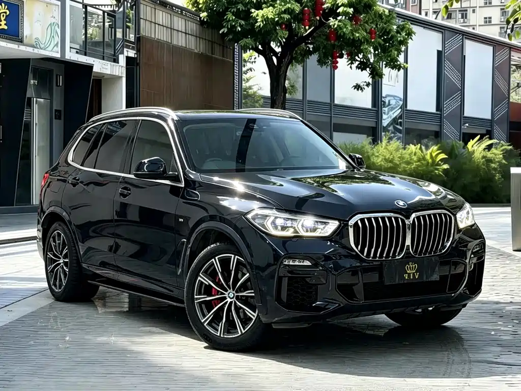BMW X5 (Import) — фото 3