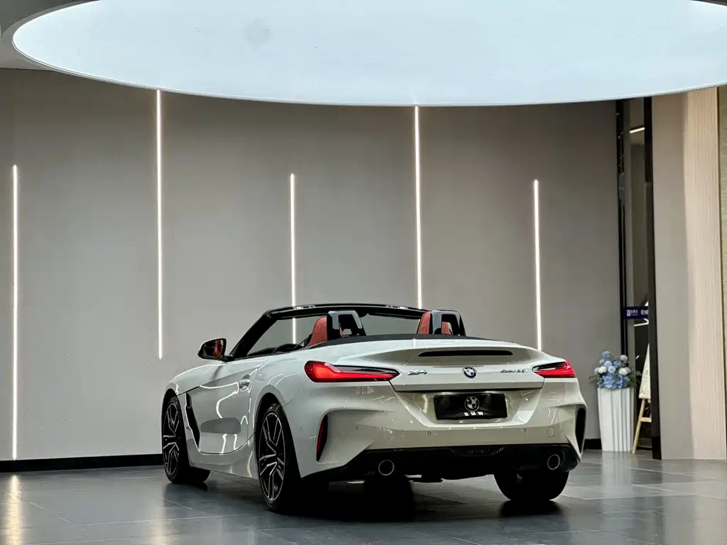 BMW Z4 — фото 10