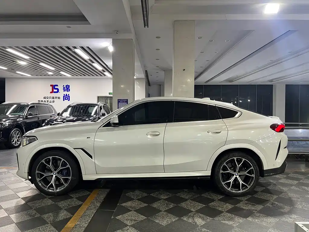 BMW X6 — фото 5