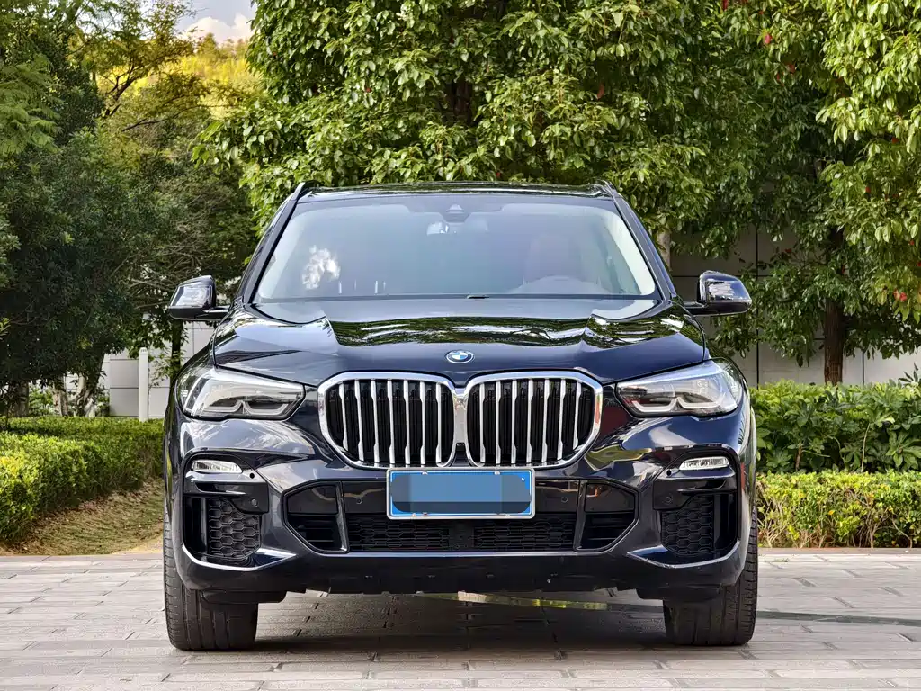 BMW X5 (Import) — фото 2