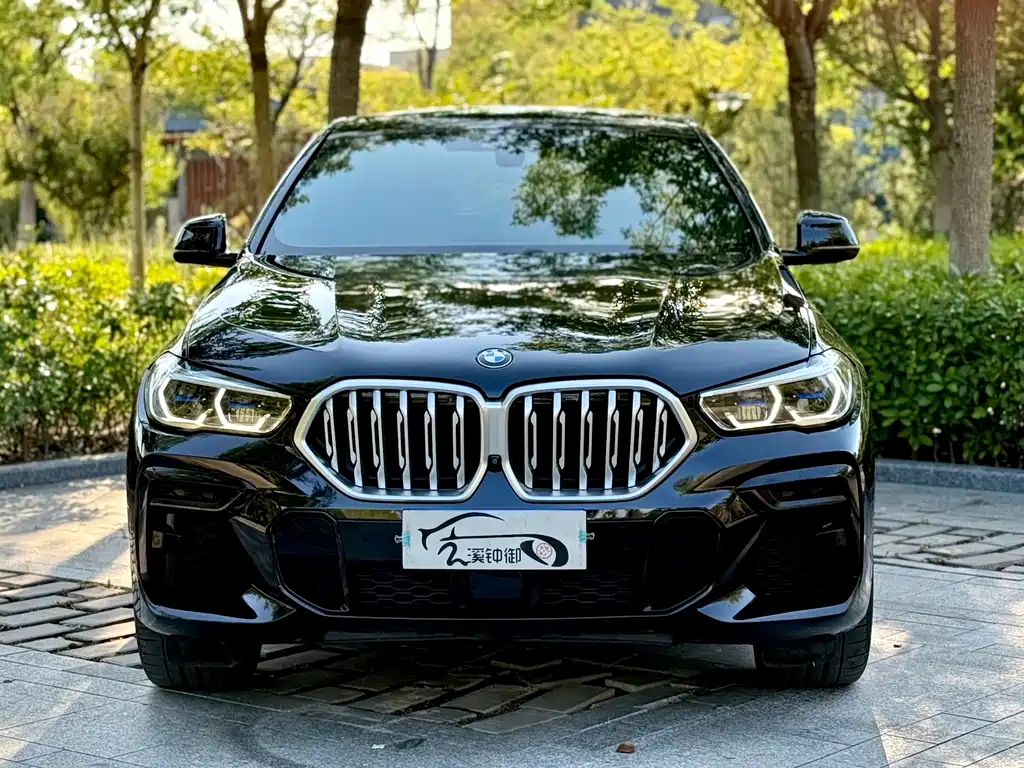 BMW X6 — фото 3