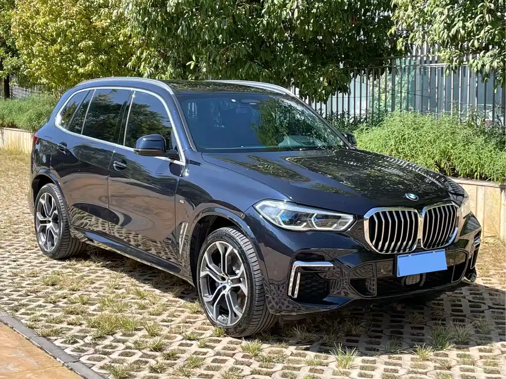 BMW X5 — фото 3