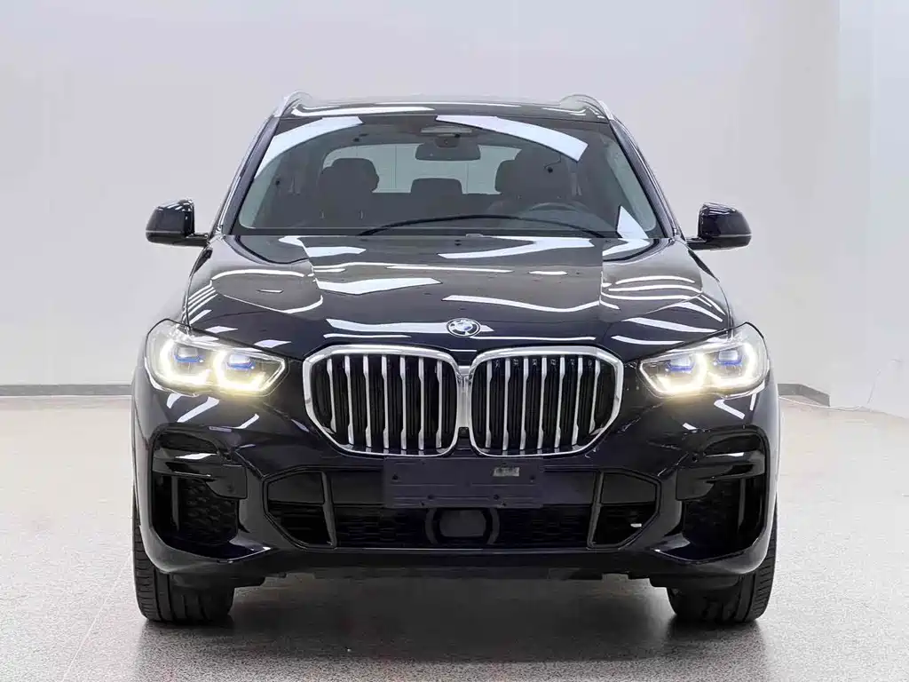BMW X5 (Import) — фото 2