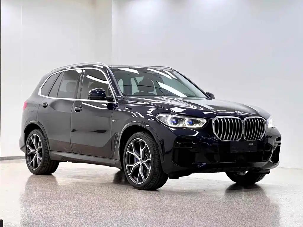BMW X5 (Import) — фото 3